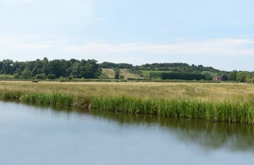 Events In East Midlands'